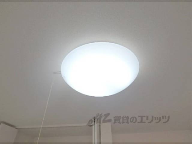 照明
