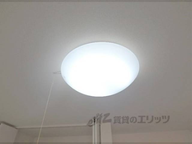 照明