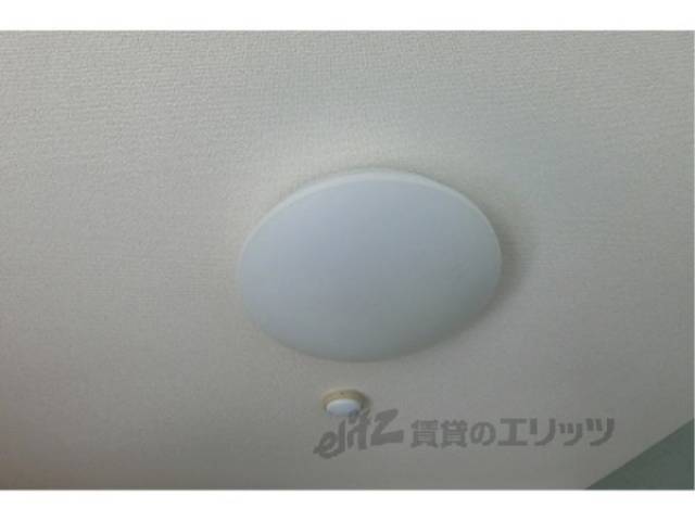 照明