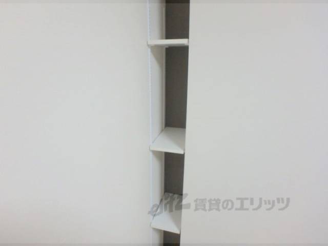 棚