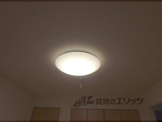 照明