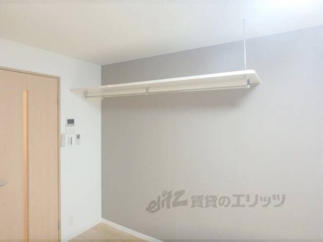 棚