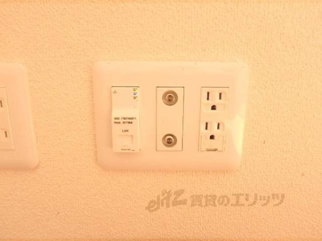 無料インターネット