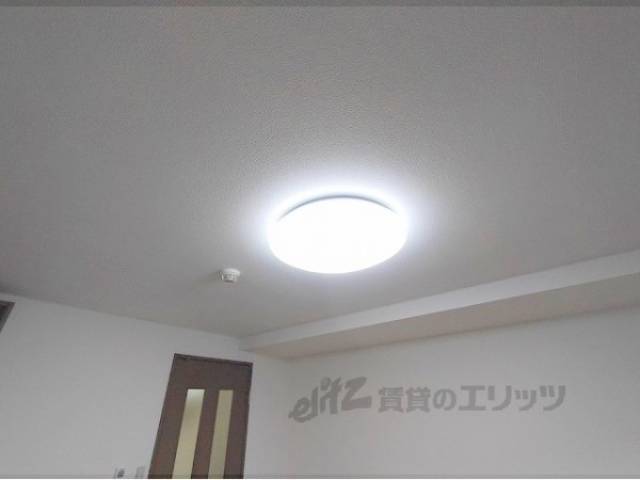 照明