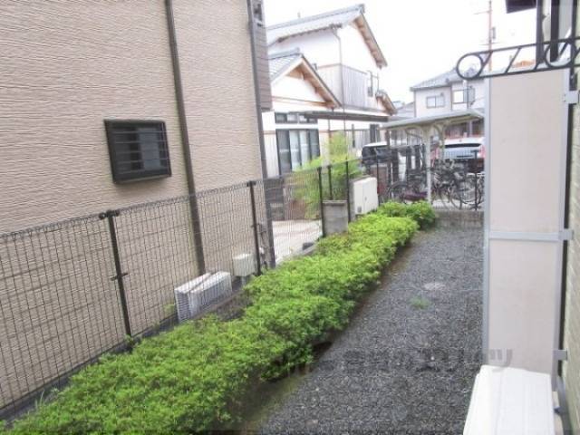 庭
