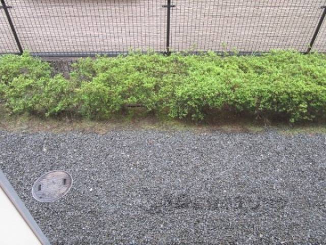 庭
