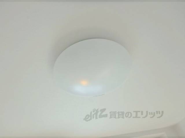 照明