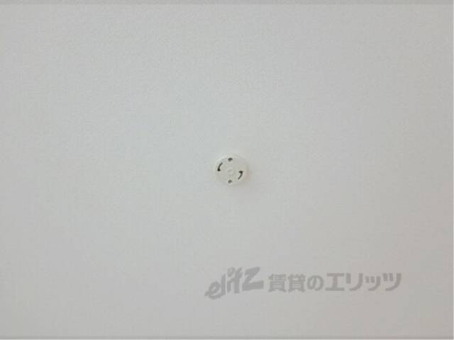 照明