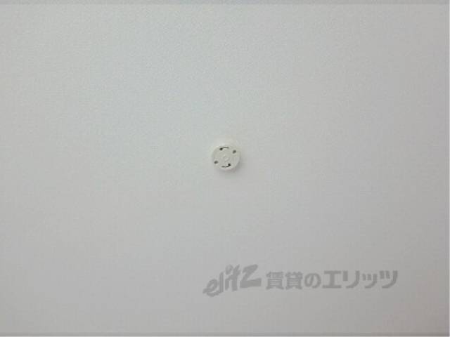 照明