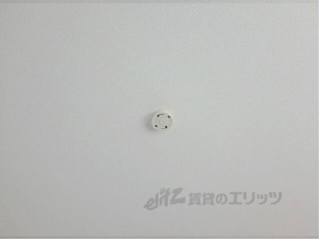 照明