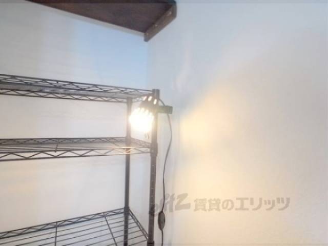 照明