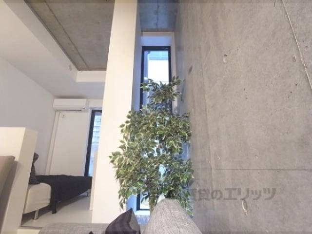 窓