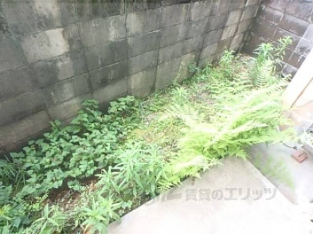 庭