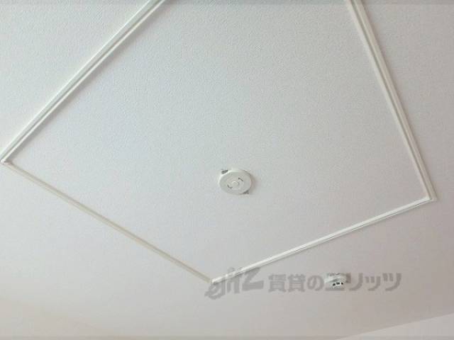 照明