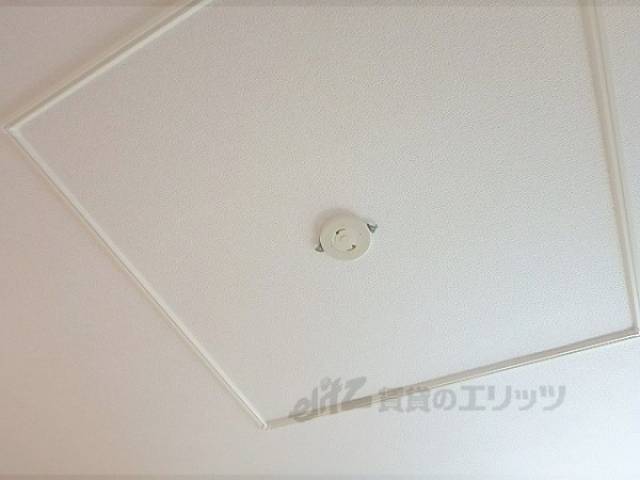 照明