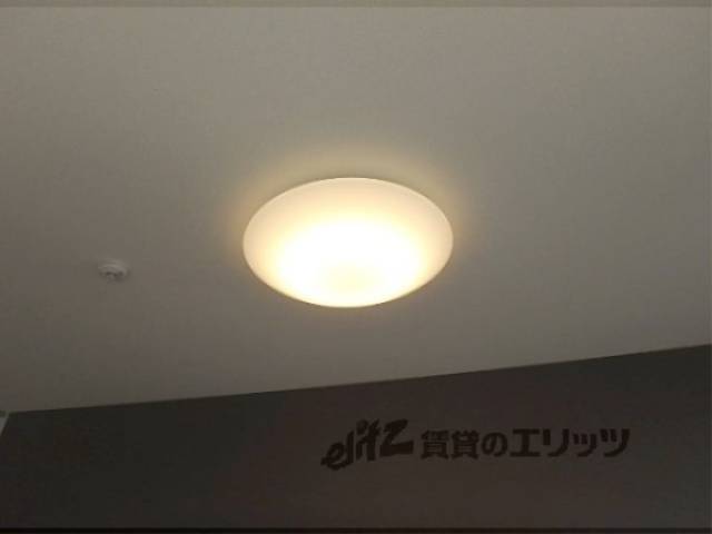 照明
