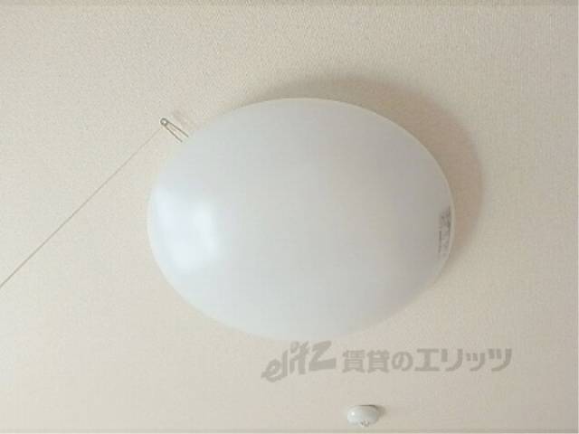 照明