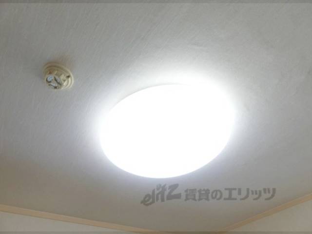 照明