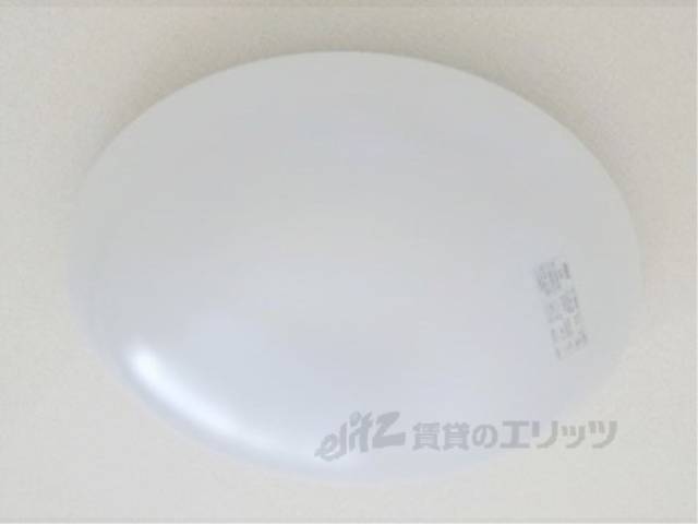 照明