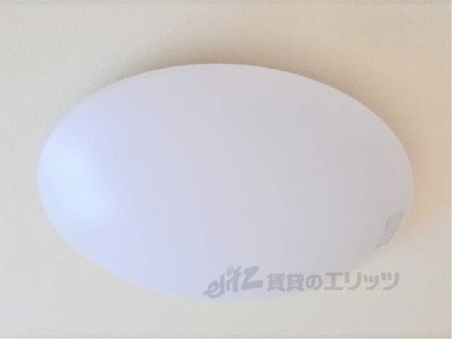 照明