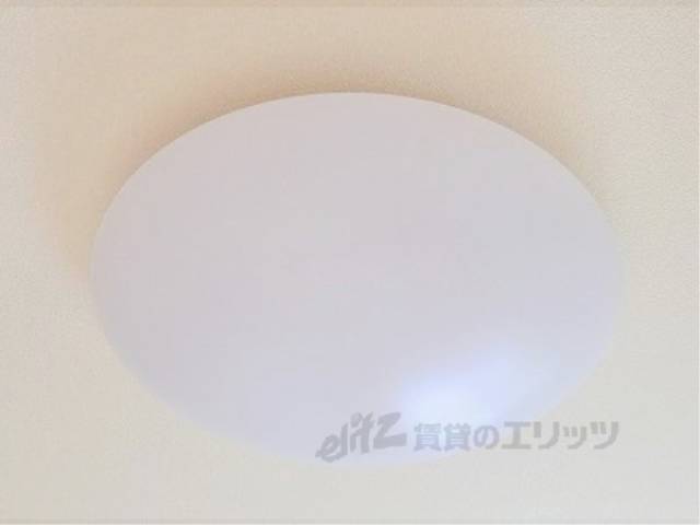 照明