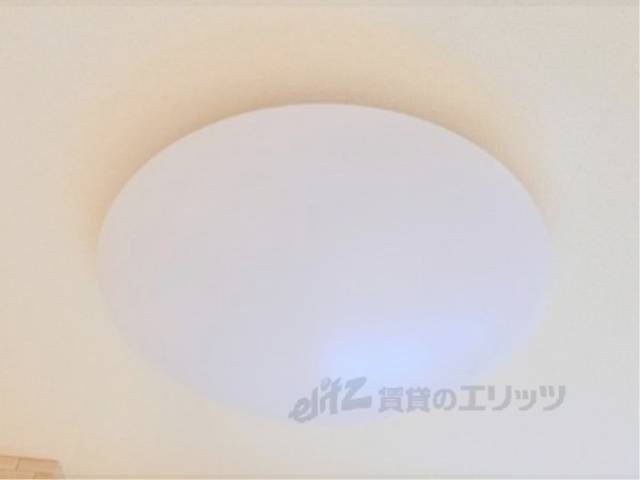 照明