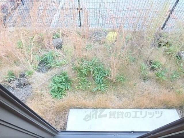 庭