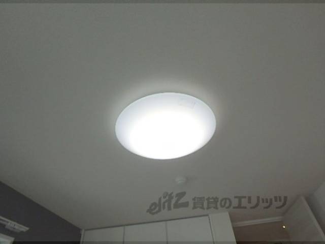 照明