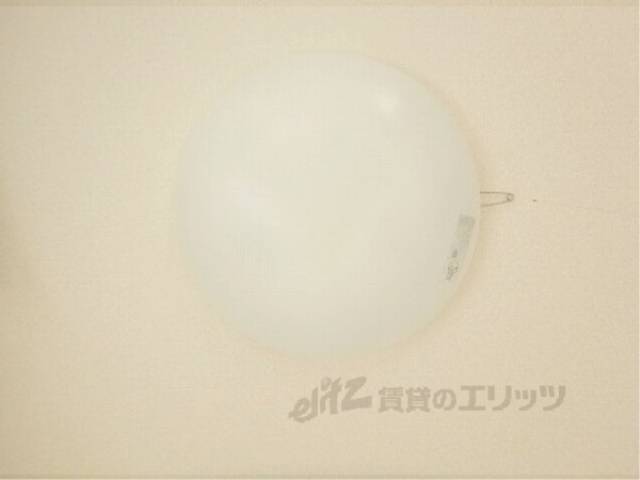 電気