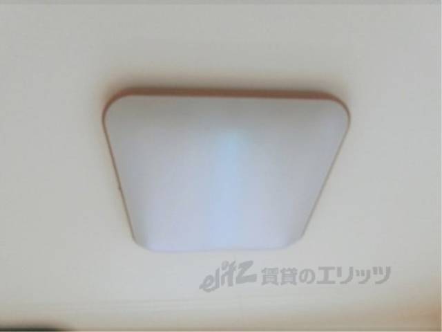照明