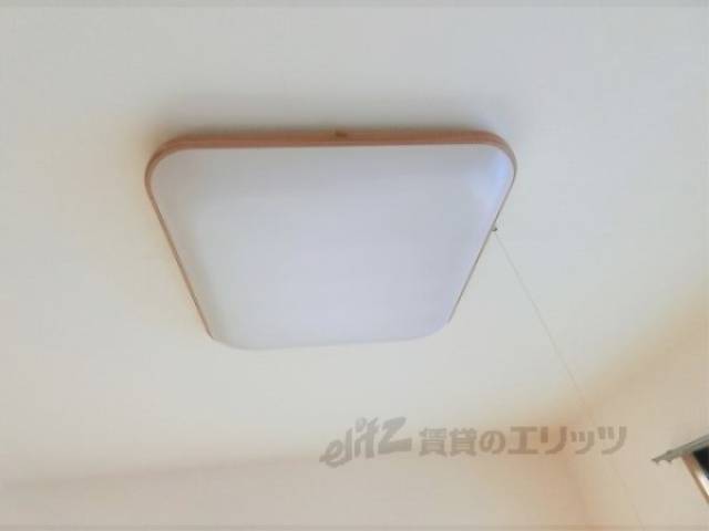 照明