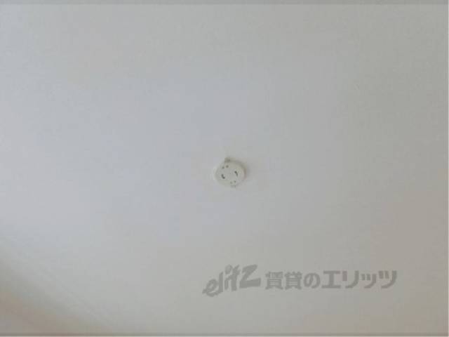 照明