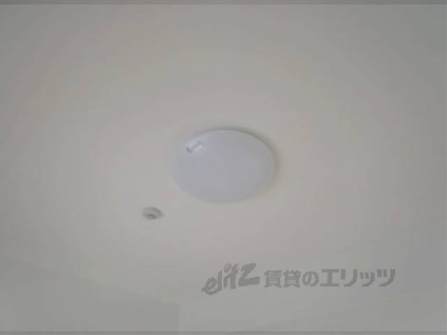 照明