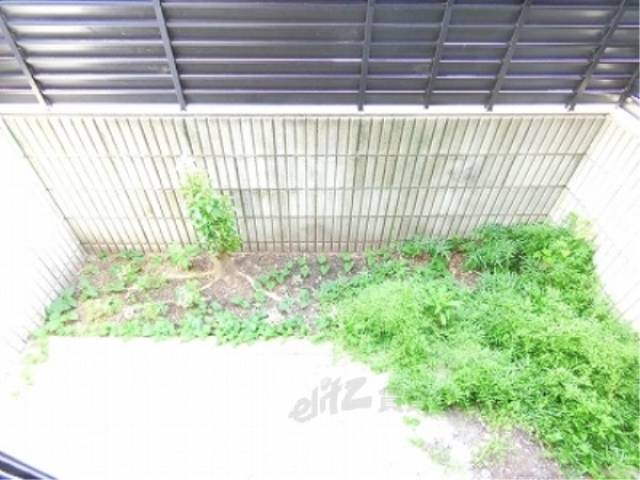 庭