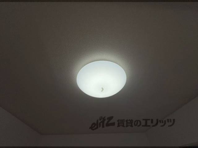 照明