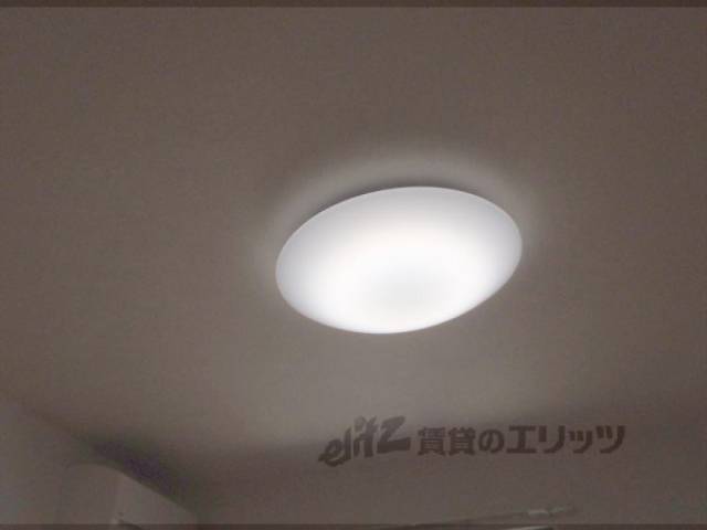 照明