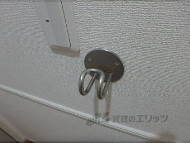 バラエティフック