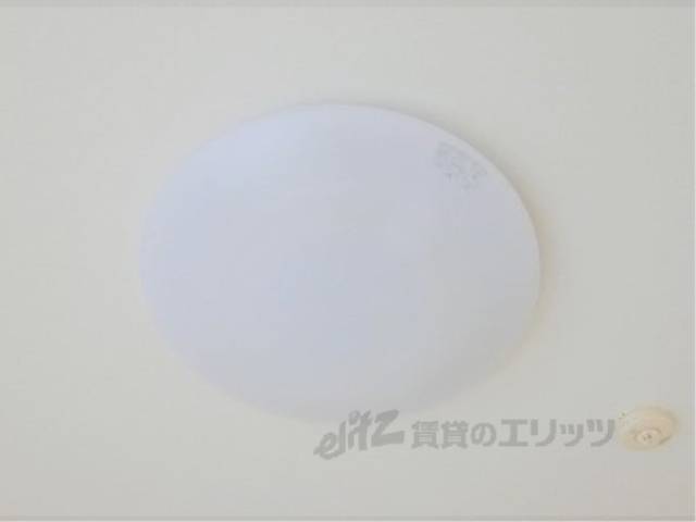照明