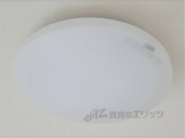 照明