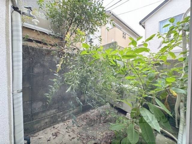 庭