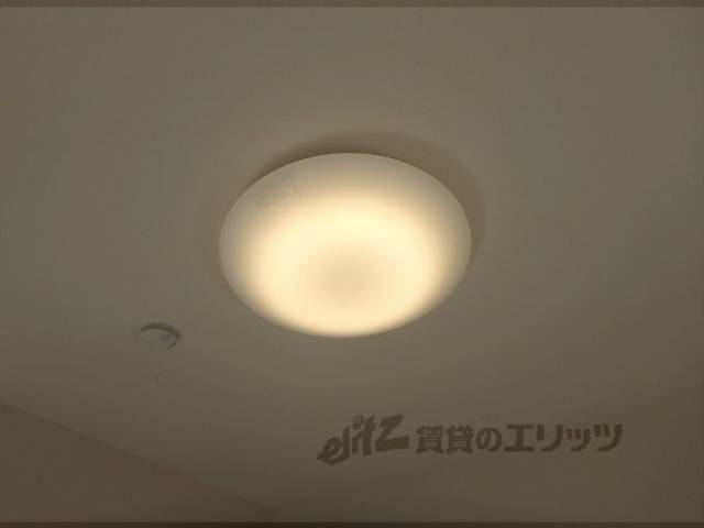 照明