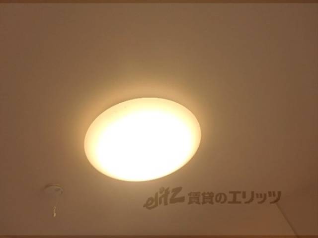 照明