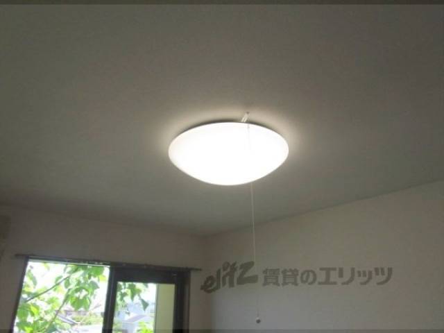 照明