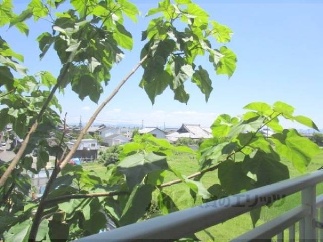 眺望