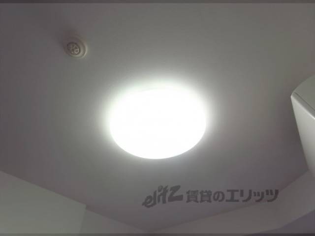 照明