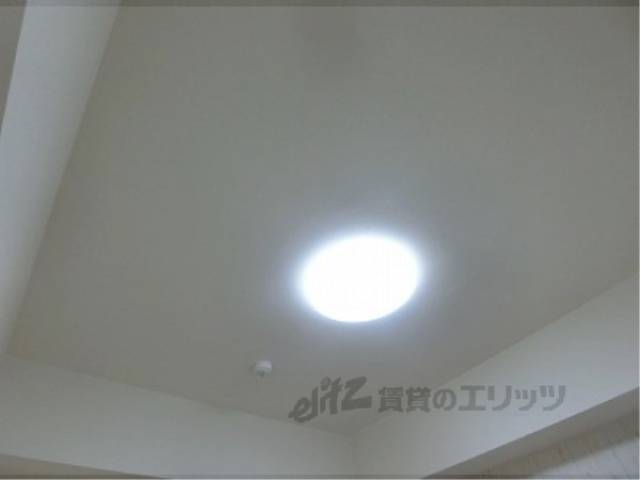 照明
