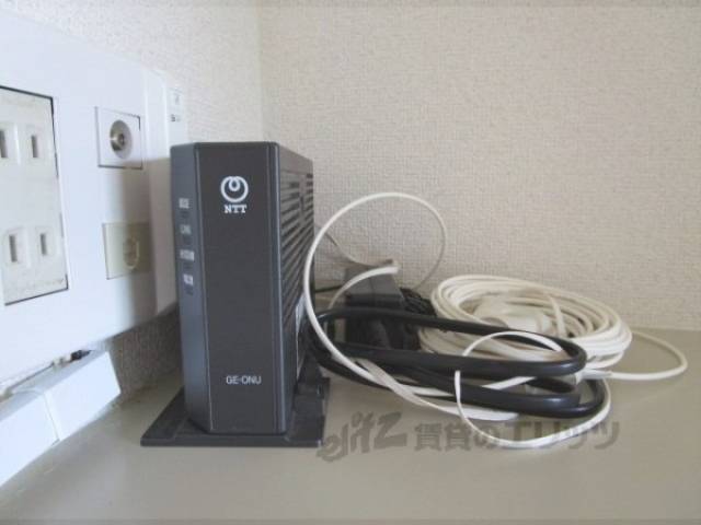 ネット線