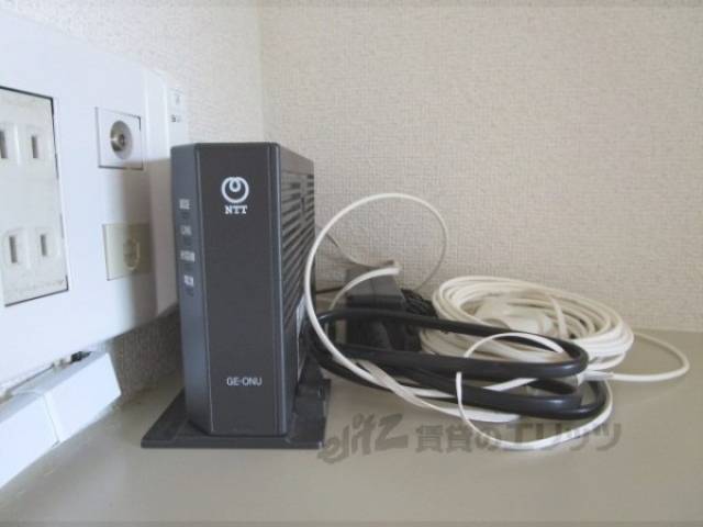 ネット線