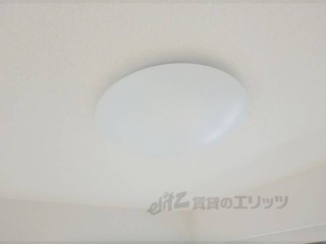 照明