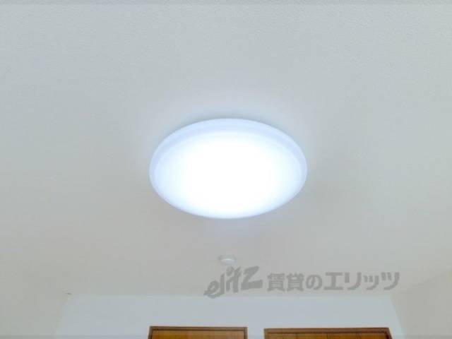照明